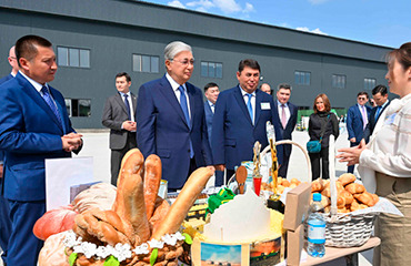 Глава государства ознакомился с продукцией предприятий Павлодарской области